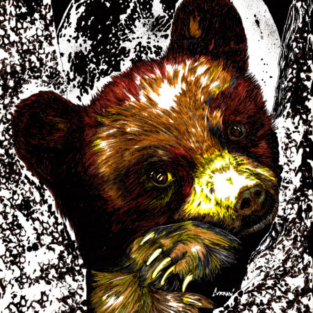 Brown Bear Cub in a Tree, Hand drawn Original Wall Art - Digital Download
