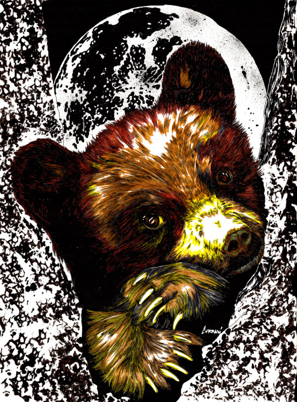 Brown Bear Cub in a Tree, Hand drawn Original Wall Art