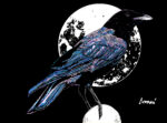 Crow in the Moonlight, Hand drawn Original Wall Art - Digital Download