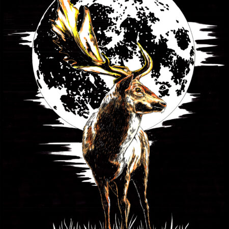 Deer in the Moonlight, Hand drawn Original Wall Art - Digital Download