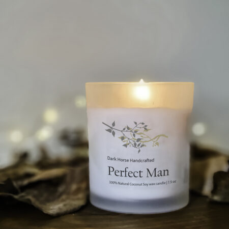 Perfect Man_5
