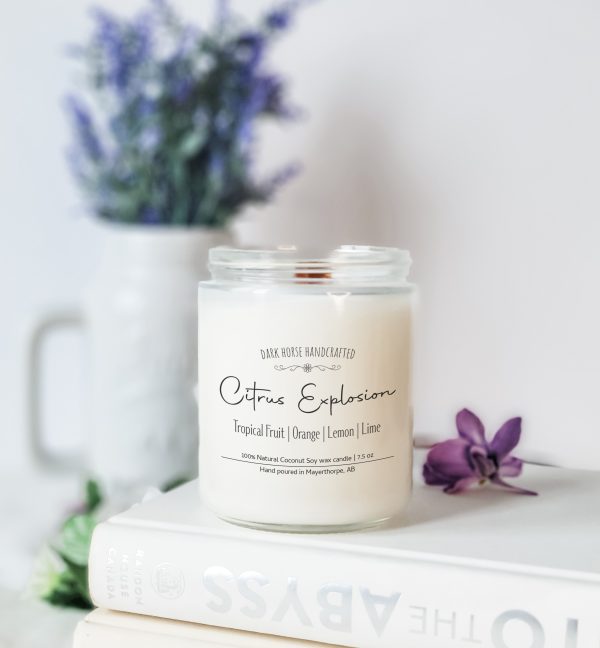 Citrus Explosion - Scented Coconut Soy wax Candle