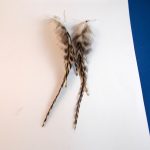 feather earrings Chinchilla real feathers natural feathers