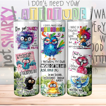 Funny Sarcastic sassy birds 20oz Tumbler