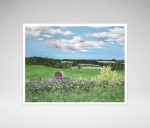 Prince Edward Island Farmland Print