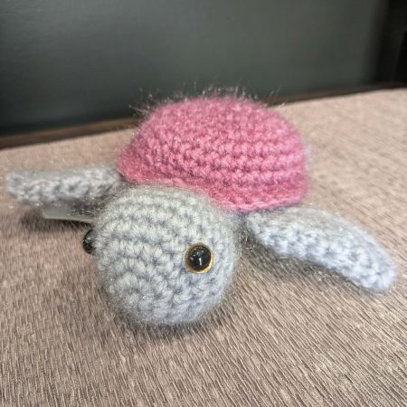 HM12-219 turtle.jpg1