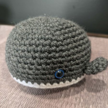 HM17-219 whale