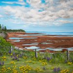 A print of an acrylic painting by Maureen Mackenzie of Prince Edward Island shoreline with red sand, tidal pools, and wildflowers in the foreground under a partly cloudy sky.