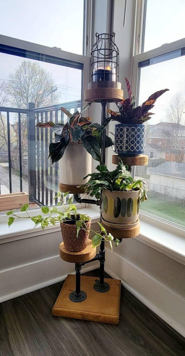 Industrial Plant Stand: 5,6 or 7 Tier Freestanding Metal Plant Holder - FREE SHIPPING