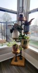 Industrial Plant Stand: 5,6 or 7 Tier Freestanding Metal Plant Holder - FREE SHIPPING