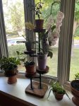 Industrial Plant Stand: 5,6 or 7 Tier Freestanding Metal Plant Holder - FREE SHIPPING
