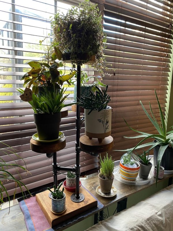 Industrial Plant Stand: 5,6 or 7 Tier Freestanding Metal Plant Holder - FREE SHIPPING