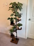 Industrial Plant Stand: 5,6 or 7 Tier Freestanding Metal Plant Holder - FREE SHIPPING