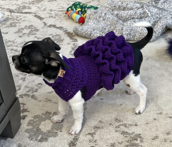 Crochet Pet Sweaters