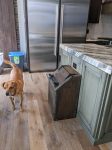 X-Large Wooden Dog Food Storage Bin: 40lb Capacity