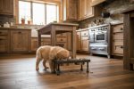 Industrial Inspired Raised Dog Bowl Feeder