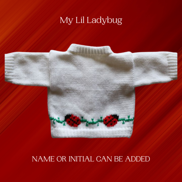 Ladybug Baby Sweater, Handmade Knitted Baby Sweater, Personalized Baby Sweater
