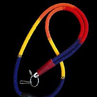 custom business colours