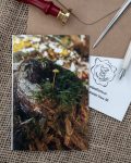 Forest moss tree stump mushrooms card