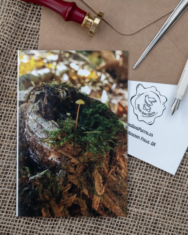 Forest moss tree stump mushrooms card
