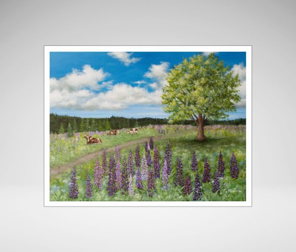 Summer Pasture and Lupines