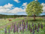 Summer Pasture and Lupines