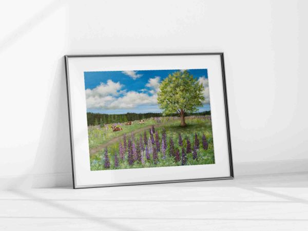 Summer Pasture and Lupines